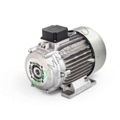Электродвигатель 5,5 кВт (с муфтой + termic) Mazzoni (арт. 2.081.12.001)