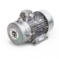 Электродвигатель 11,0 кВт (с муфтой + termic) Mazzoni (арт. 2.081.12.029)