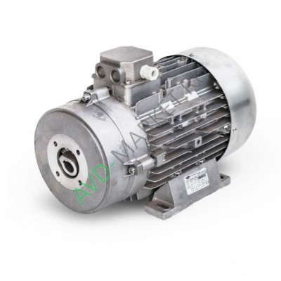 Электродвигатель 11,0 кВт (с муфтой + termic) Mazzoni (арт. 2.081.12.010)
